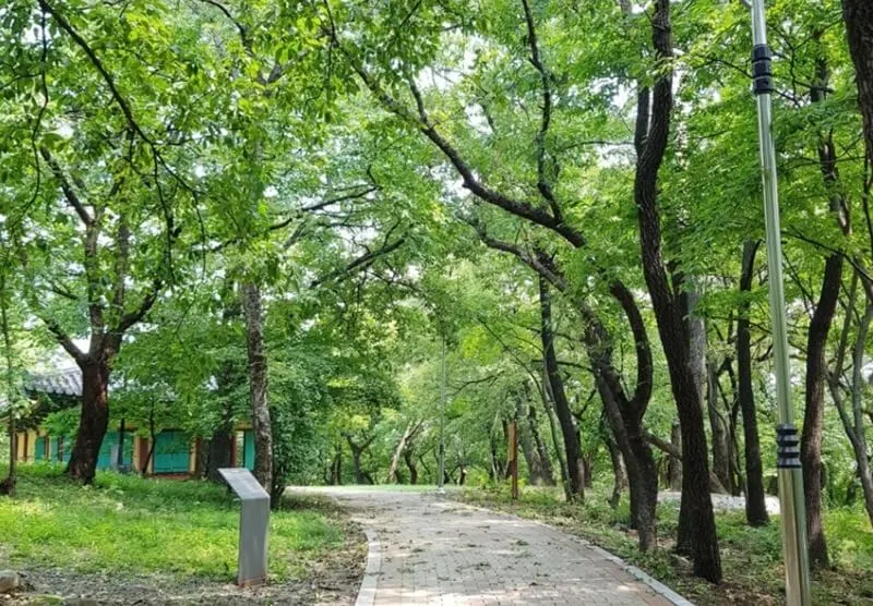 경산 자인의계정숲 & 포니힐링승마공원 & 남매공원 - 여행라이프 대한민국 여기저기