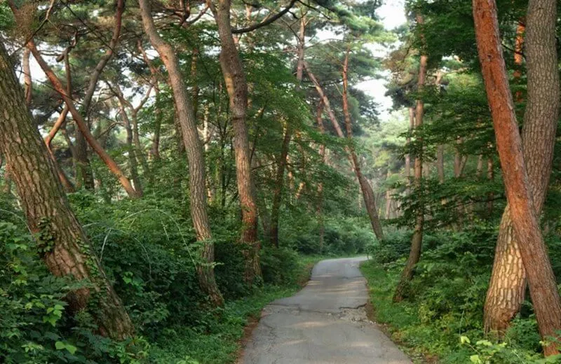 아산 숲길 천년의 숲길과 도고 용궁댁 둘레길 - 여행라이프 대한민국 여기저기